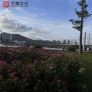 呦呦呦熟女骚逼
